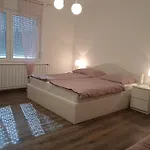 Petra Vendeghaz *
