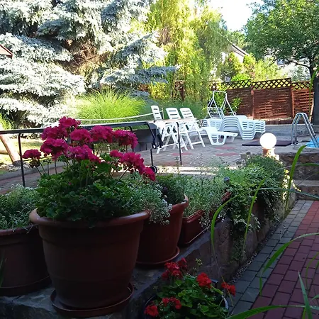 Apartament Petra Vendeghaz *