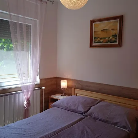 Apartament Petra Vendeghaz *